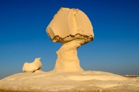 EGY0905