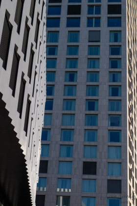DSC_3538