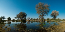 Panoramabild-4