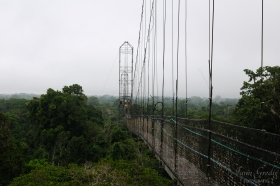 ECU0484