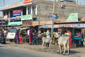 DSC5759
