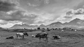 DSC_0396-2