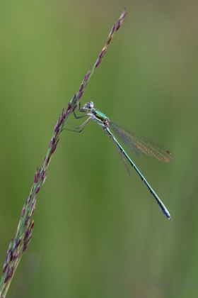 DSC4143