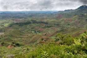 DSC7107-1