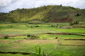 DSC7876