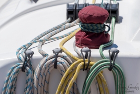 DSC0970