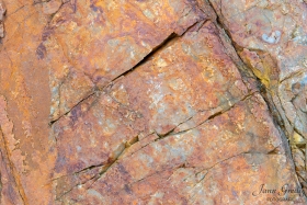DSC5154