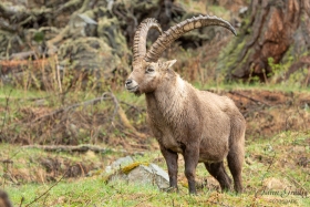 DSC_7812